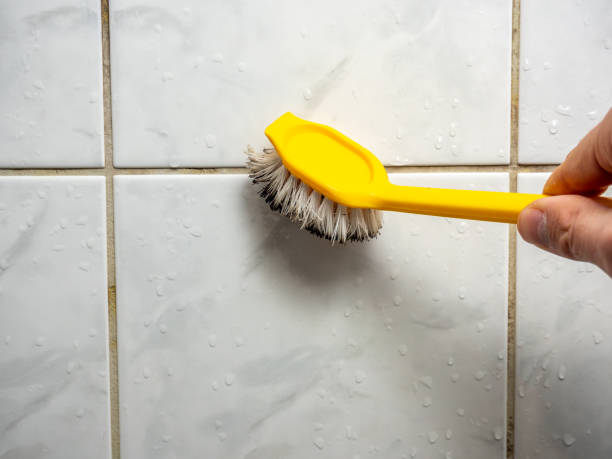 Best Mold Cleaning Services  in Englewood, OH