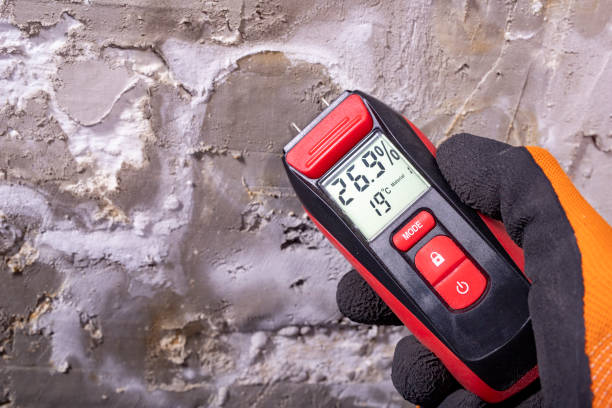 Best Mold Testing  in Englewood, OH