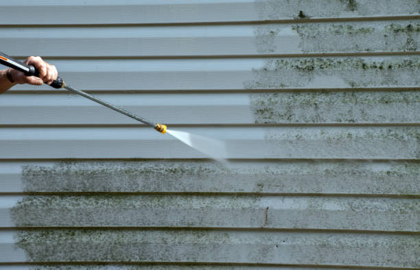 Best Mold Removal Process  in Englewood, OH